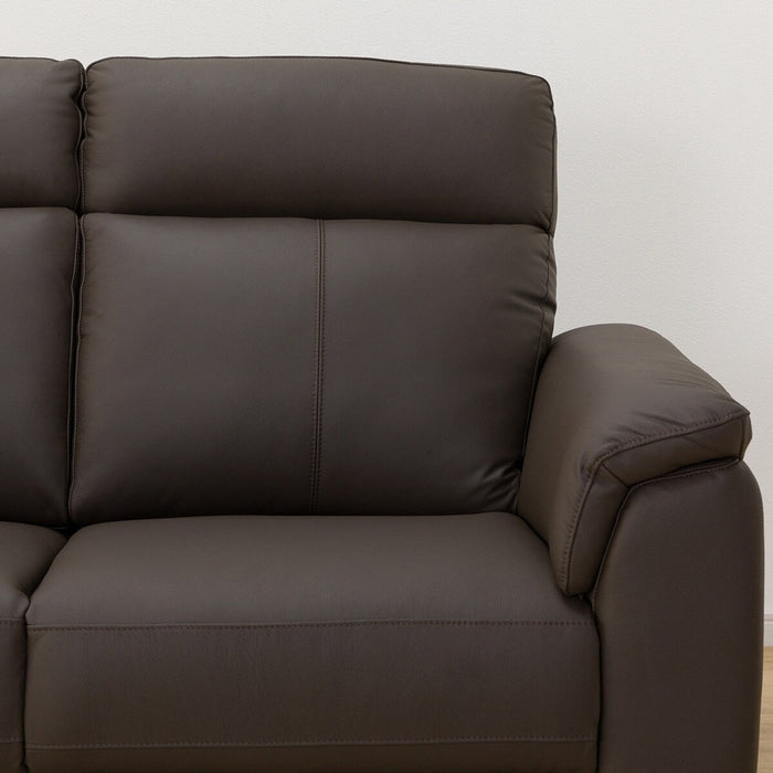 2S-SOFA LB07 LEATHER DBR