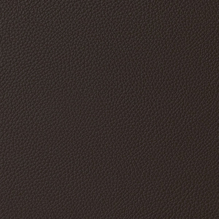 2S-SOFA LB07 LEATHER DBR