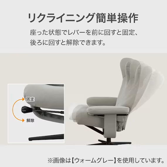 PERSONAL CHAIR PK02 N-SHIELD WGY