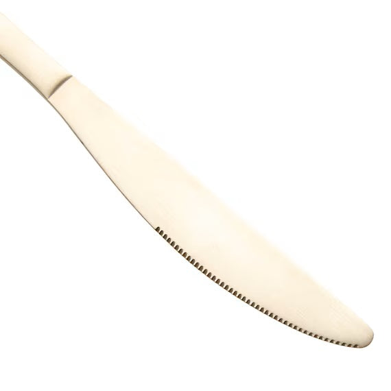 TABLE KNIFE PR02 GD