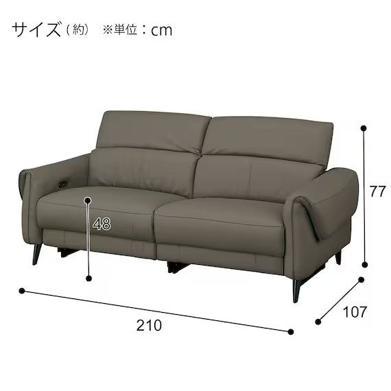 ELECTRIC 3P SOFA LS04 NW DGR