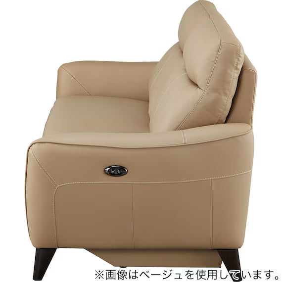 ELECTRIC 3P SOFA LS06 NW BR