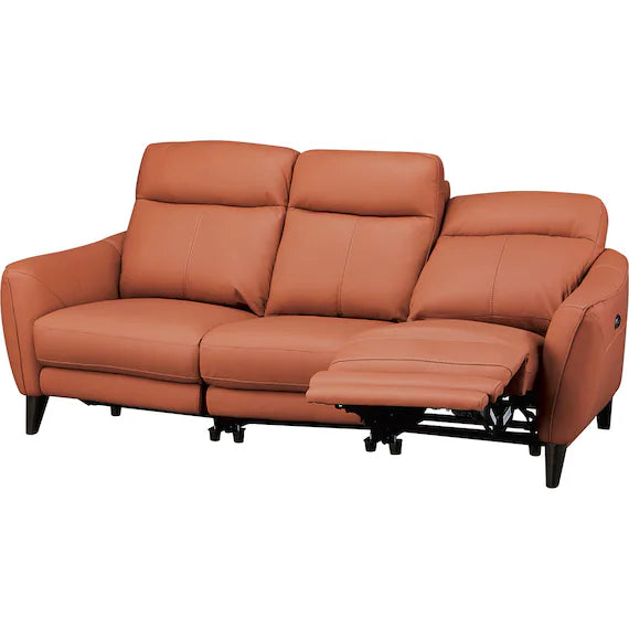ELECTRIC 3 SEATER SOFA LS06 SK BR