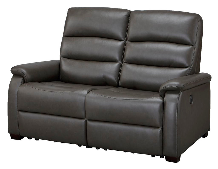 2S ELECTRIC SOFA N-BELIEVA DGY2-JHN76 TK-LEATHER