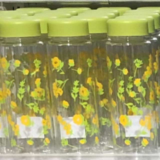 CLEAR BOTTLE GARDEN YGR