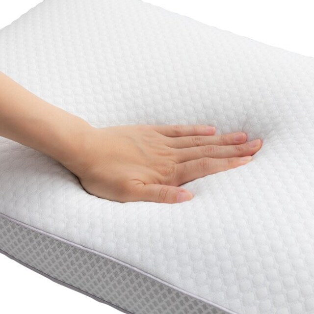 DEODORIZATION LOW REPULSION PILLOW2 P2206