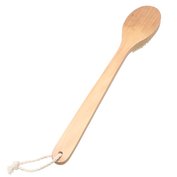 BODY BRUSH WITH WOOD HANDLE WT01