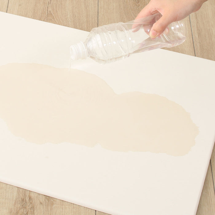 DIATOMITE BATH MAT DRY LGY 40X55