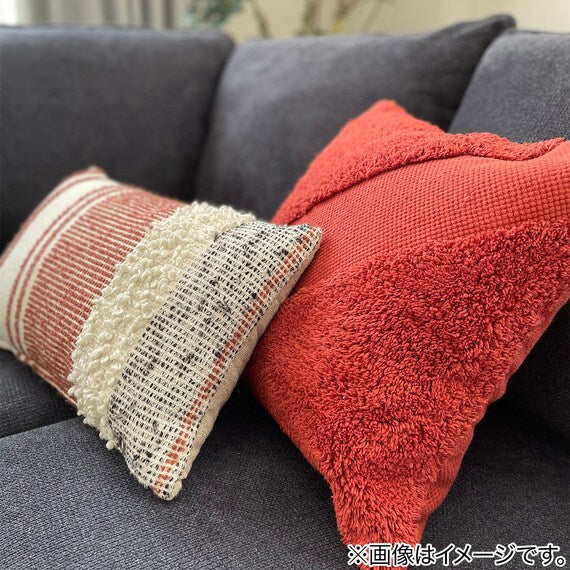 ACCENT CUSHION ANM010