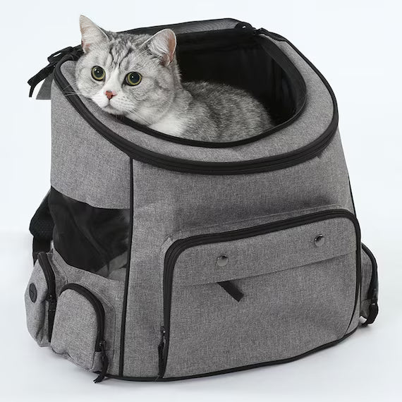 PET CARRY BT-P098B