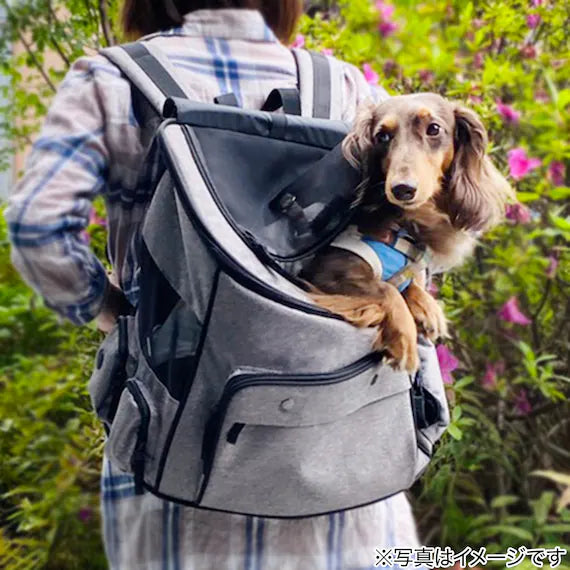 PET CARRY BT-P098B