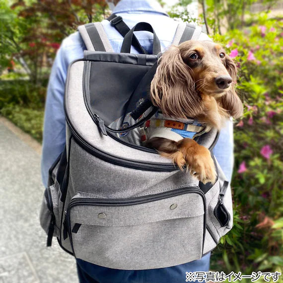 PET CARRY BT-P098B