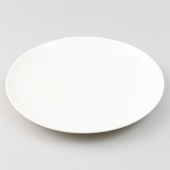 PLATE 21CM A17357 D21XH2.3