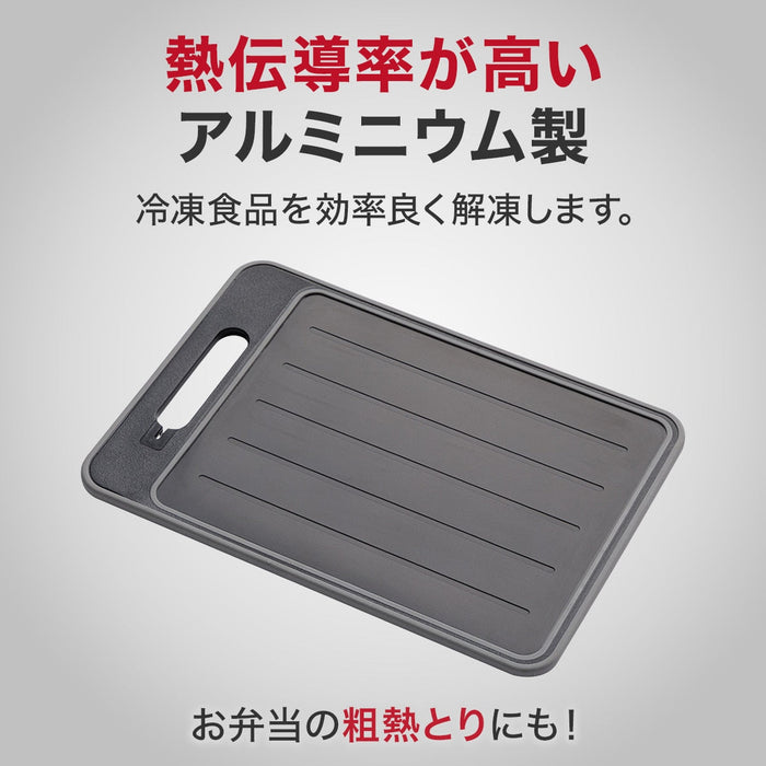 CUTTING BOARD WITH DEFROSTING PLATE L KY023