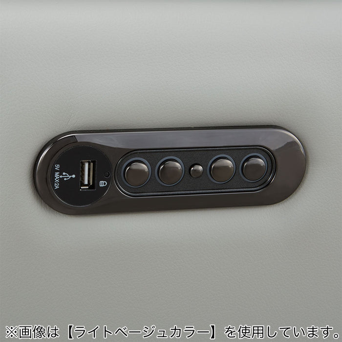 2M ELECTRIC 3P SOFA LS02 NW DGR
