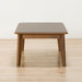CENTER TABLE COLLECTION120 T-01 MBR