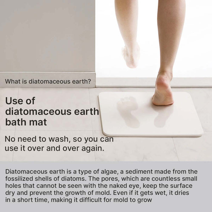 DIATOMITE BATH MAT DRY2 IV 40X55