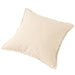 CUSHION COVER SIMPRE BE