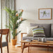 CUSHION COVER SIMPRE BE