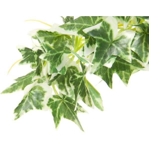 20CM ENGLISH IVY W/90LVS W/CERANIC POT F201-80A/90LNT