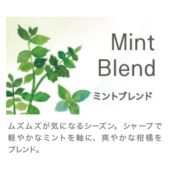 ESSENTIAL OIL MINT BLEND 10ML