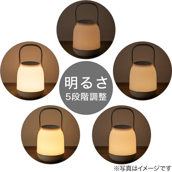 LANTERN DX-M06