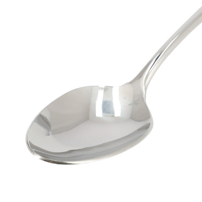DESSERT SPOON SHINE